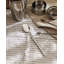 Dry Long Drink Spoon