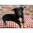 Checkered Polyester Pet Bed-56468084-56468088
