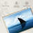 Crowle Shark Fin-111961151