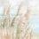Récolte de pampas en bord de mer - peinture