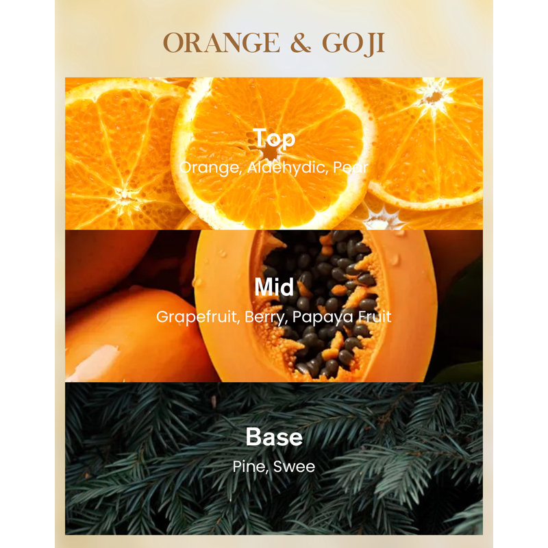  Grande bougie Patchouli Soy, 3-Wick 35oz 150H, bougie d'aromathérapie pour la méditation, 35 oz, Goji orange