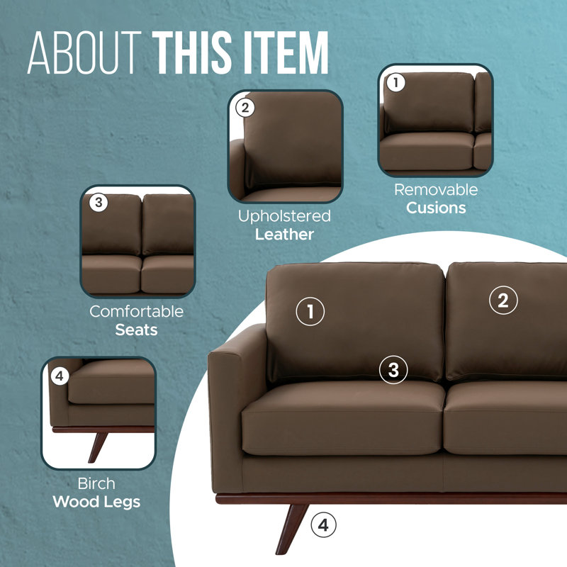 Kernis Modern 2-Seater Loveseat Sofa Upholstered Living Room Couch with Birch Wood Legs, Premium Leather or Mesh Foam Cushions for Home and Living Room