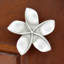 2" Plumeria Flower Medium Knob-126755985-39948783-104672780