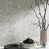 Spring Silver