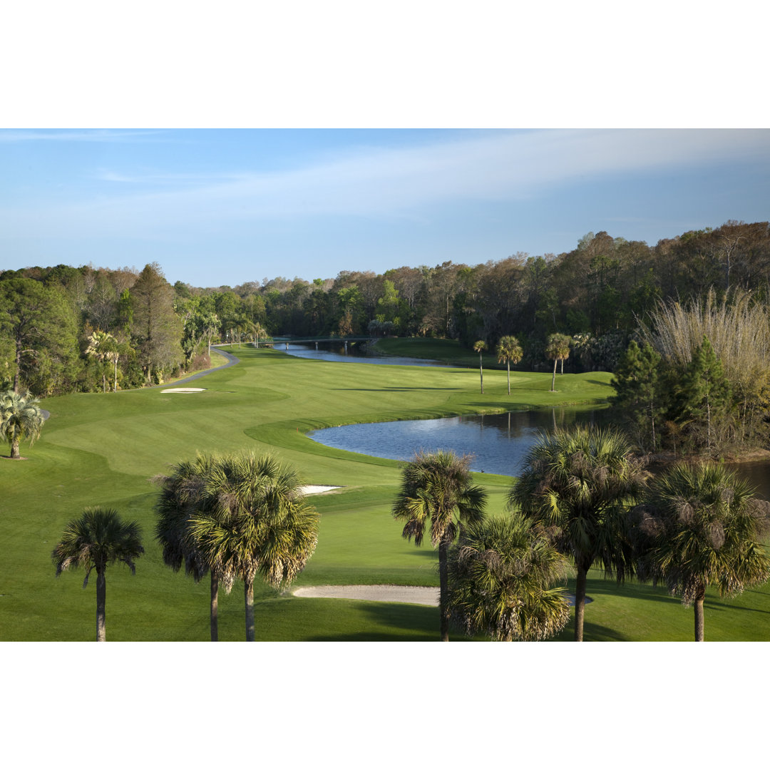 Tropischer Golfplatz von TexPhoto - Drucken