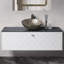 Rosa 47.1'' W Single Vanity