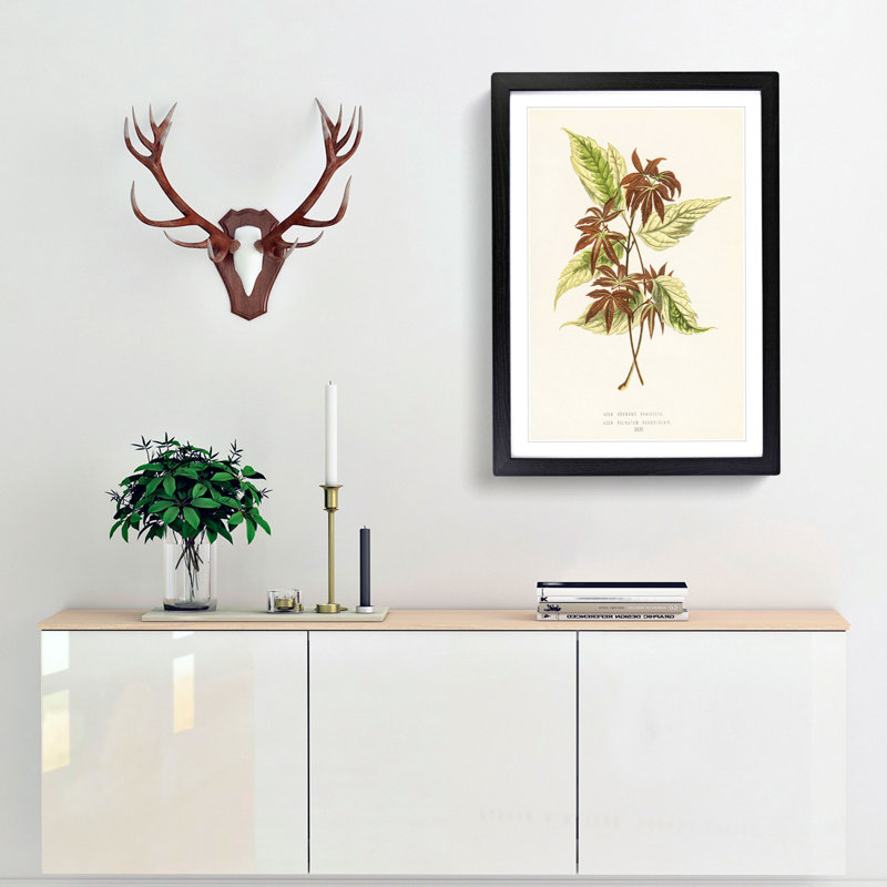 Boxelder Maple Leaf - Framed Print, Black Framed, 87cm H x 62cm W x 2cm D
