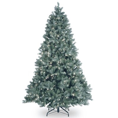 Downswept Douglas Fir Blue Tree with Clear Lights -  National Tree Company, PEDDB1-312-60