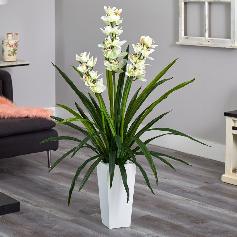 Orchids Arrangement in Planter