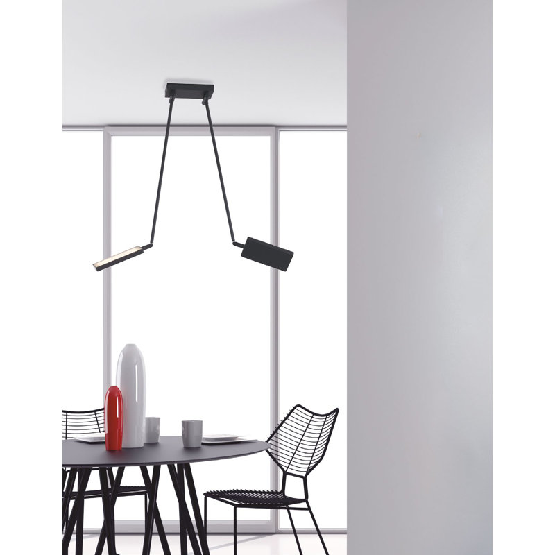 Birdwell 2 - Light LED Unique/Statement Pendant, Black