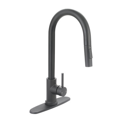 Robinet de cuisine Banille Faucets