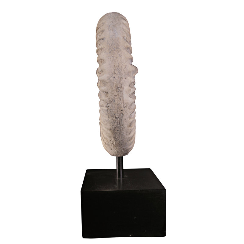 Ammonite Fossil Sculpture on Museum Mount Sculpture