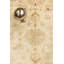Melody Hand Knotted Wool Oriental Area Rug in Ivory/Red-1068794211