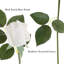 24 tiges de roses artificielles Real Touch, H 11,5 po-380156622
