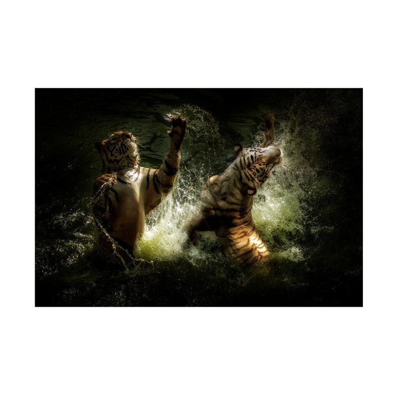Art sur toile Antonyus Bunjamin Fighting, H 12 po x l 19 po