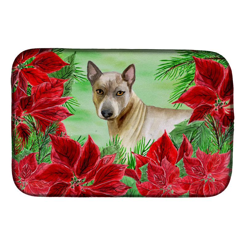 Tapis de séchage thaï ridgeback poinsettas