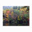 Toile extérieure J.D. Mcfarlan «Painted Hillside»-87944899