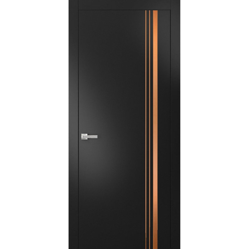 Porte intérieure moderne avec poignée | Planum 1010 | Garniture simple à panneau simple Regural | Salle de bain, Noir mat
