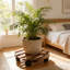 1 Tier Plant Stand Set of 2