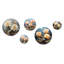Gilded Tranquility Lotus - lot de 5 lotus ronds lotus