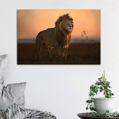 The King In The Morning Light by Xavier Ortega - Wrapped Canvas Print