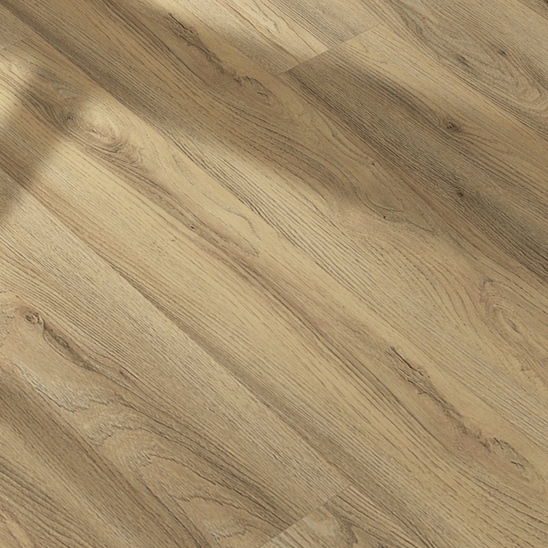 Basics 20 mil T x 8 in. W x 48 in. L Glue down Waterproof Vinyl Plank Flooring (58 sqft/case), Coniferous Hills