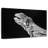 Monochrome Iguana-1303415319
