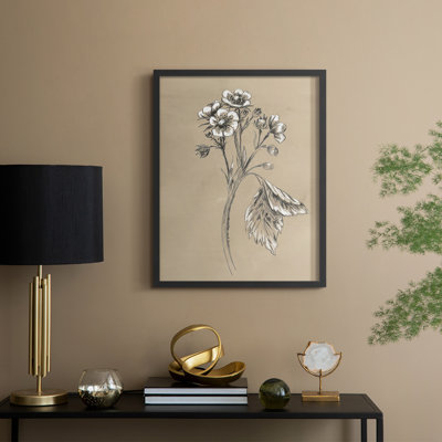 Vintage Botanical Sketch II Framed Print - Solid Wood