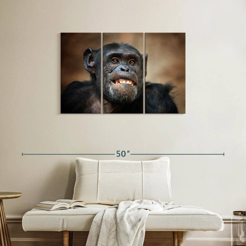 Funny Chimpanzee