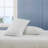 Tommy Hilfiger Printed Percale Cotton Sheet Set-123853704-109401996