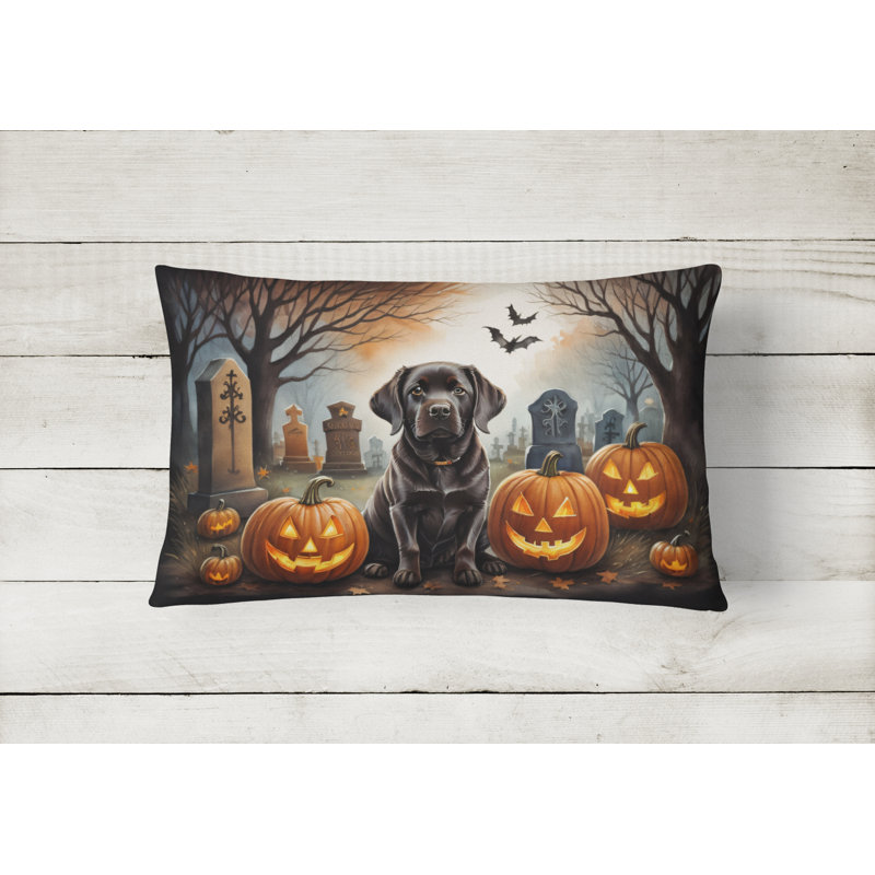 Other/No Pattern Outdoor Throw Pillow