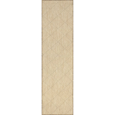 Ray Diamond Indoor/Outdoor Area Rug
