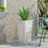 PLANTER