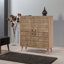 Brito Rectangle Accent Chest
