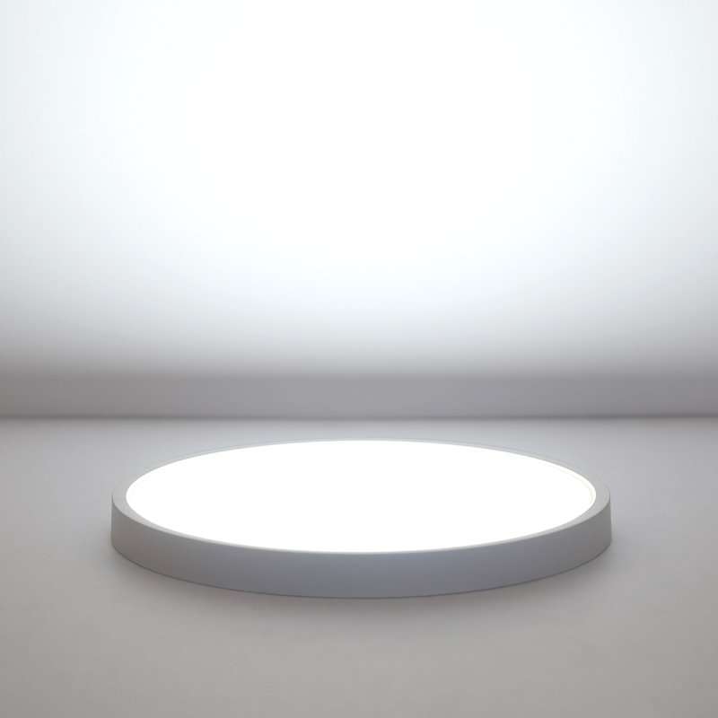 Cirota Acrylic LED Flush Mount