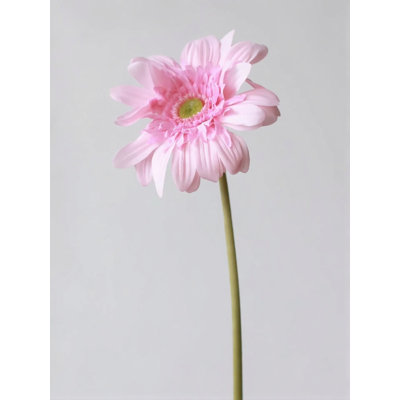 Soft Petal Gerbera Daisy Stem â€“ 25.6"
