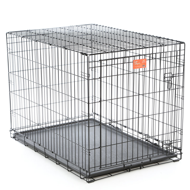 Cage pour chien MidWest Homes for Pet, Grand (H 31 po x l 28 po x P 42 po)