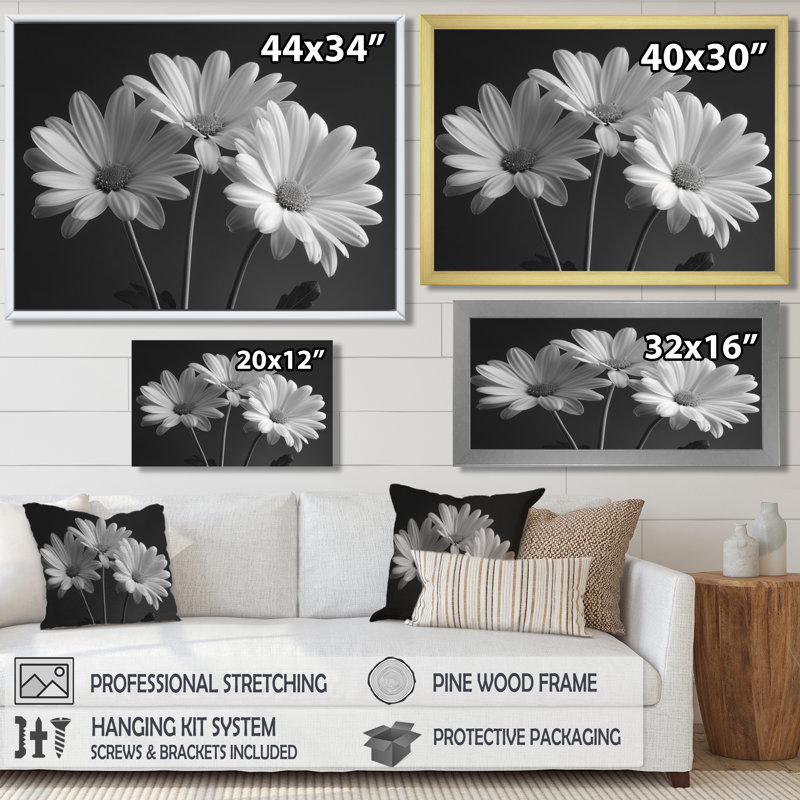 Monochrôme noir et blanc, bonheur, photo IV - marguerites, art mural, H 24 po x l 32 po, Cadre simple noir