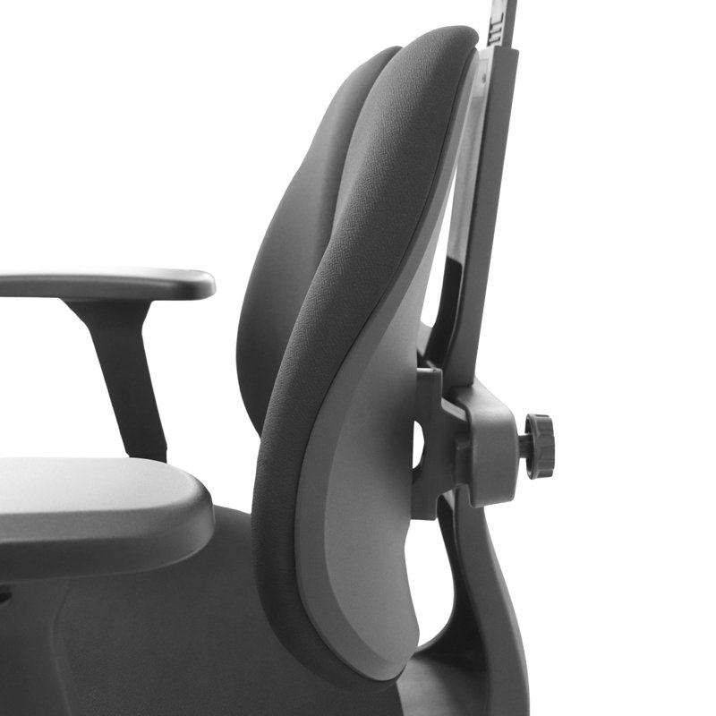 Chaise de bureau ergonomique à dossier divisé avec appui-tête 2d réglable et accoudoirs 4d, Avec repose-pieds