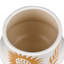5.25'' Earthenware Table Vase