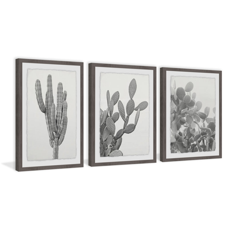 « cactus triptyque », ensemble de 3 reproductions de photos encadrées, H 24 po x l 16 po x L 1,5 po