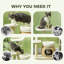 Tour à chat 31 "avec poteaux à griffer 31"