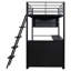 Lit mezzanine simple en métal avec éclairage à DEL, bureau, tablettes et 4 lumières à DEL noires fonctionnelles-1226074059