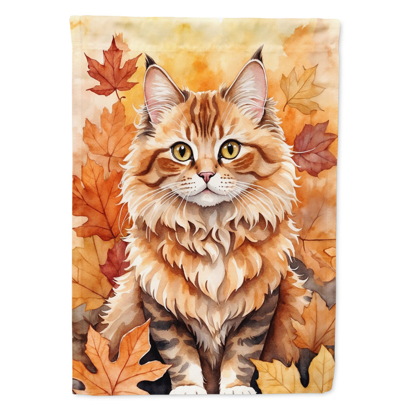 Chat en feuilles d'automne, Skookum