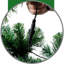 Lighted Artificial Christmas Tree-669256887