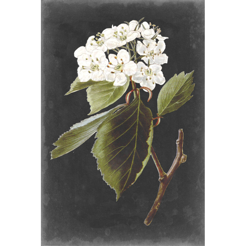 «Dramatic White Flowers I» par Vision Studio - peinture sur toile tendue, H 12 po x l 8 po