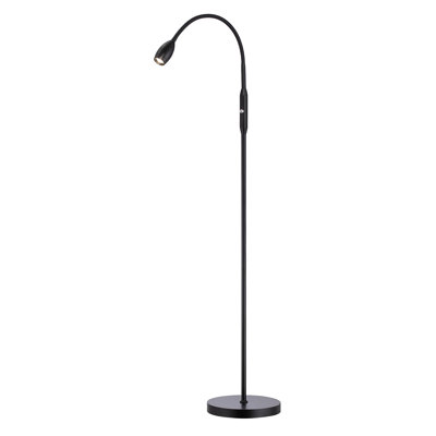 Reinolde 52'' LED Arched Floor Lamp