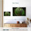 Jungle brumeuse d'Alvord en Asie-107723875