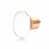 Polished Rose Gold