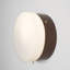 1 - Light LED Flush Mounted Sconce